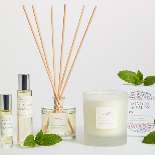 171 Iris & Mint Diffuser 100ml